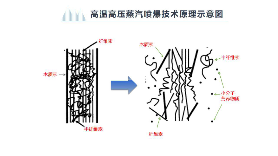 節(jié)-24.jpg